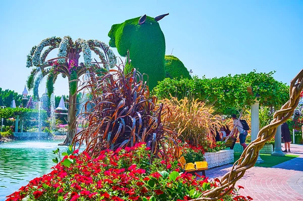 Dubai Emiratos Árabes Unidos Marzo 2020 Miracle Garden Tiene Pequeño — Foto de Stock