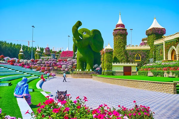 Dubai Emiratos Árabes Unidos Marzo 2020 Anfiteatro Miracle Garden Con —  Fotos de Stock