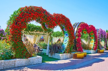 DUBAI, BAE - 5 Mart 2020 'de Dubai' de Miracle Garden 'da parlak petunyalarla süslenmiş renkli kalp kemerleri