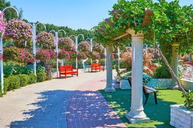 DUBAI, BAE - 5 Mart 2020: 5 Mart 'ta Dubai' de, renkli petunyalarla bezenmiş Miracle Garden sokaklarında yürüyün.