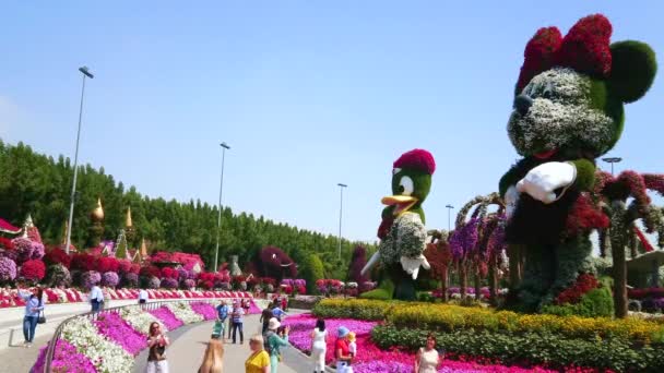 ドバイ アラブ首長国連邦 2020年3月5日 人々はカラフルなペチュニア花壇 ウォルトディズニーキャラクターの大規模なインストールで奇跡の庭の路地を歩く ミニーマウスとドナルドダック ドバイで3月5日 — ストック動画