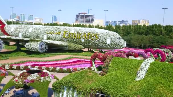 ドバイ アラブ首長国連邦 2020年3月5日 ドバイで3月5日に白いペチュニア カラフルな花壇 ハートアーチ路地 噴水で覆われた巨大なエアバス飛行機で奇跡の庭のパノラマ — ストック動画