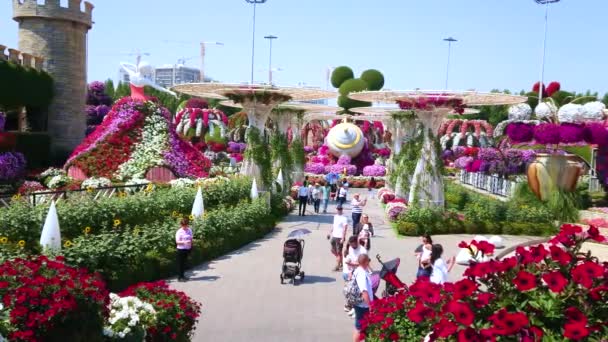 Dubai Vae März 2020 Entdecken Sie Den Miracle Garden Mit — Stockvideo