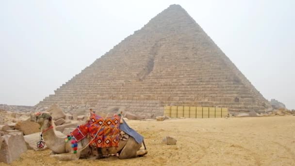 Cairo Egipto Diciembre 2017 Recopilación Monumentos Cairo Giza Pirámides Esfinge — Vídeos de Stock