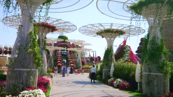Dubai Förenade Arabemiraten Mars 2020 Mirakelträdgården Med Natursköna Rabatter Observationspaviljong — Stockvideo