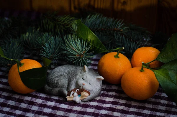 Decoraciones Navideñas Historia Navidad Nochebuena Gato Dormido Una Niña Dormida — Foto de Stock