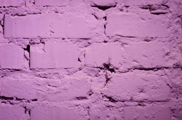 Violet (yakın çekim, arka plan, doku boyalı bir tuğla duvar).