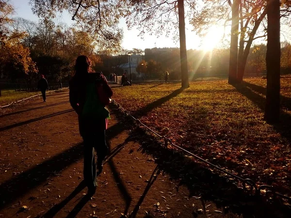 Bir güneşli sabah parkta. İnsanlar yolu yürüyüş.