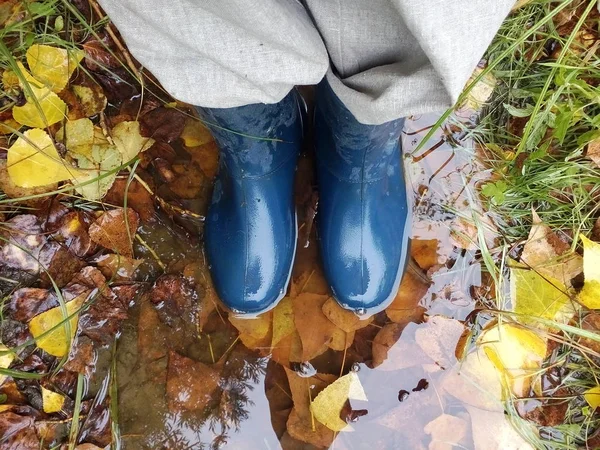 Woman in blue rubber boots standing in a puddle with autumn leaves. (view from above)