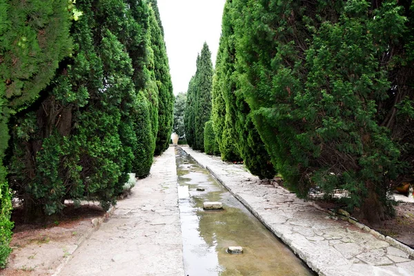 Botanische Tuin Palace Bulgarije Balchik Koningin Mary Stockfoto — Stockfoto