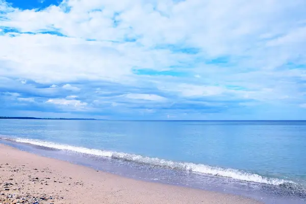 シースケープ ビーチ貝殻海岸風光明媚な風景がカラフルな背景の壁紙ストック フォトで覆われて — ストック写真