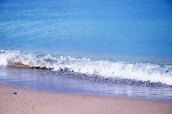 Seascape Beach Καλυμμένο Κοχύλια Ακτή Πολύχρωμο Τοπίο Υπόβαθρο Ταπετσαρία Φωτογραφία — Φωτογραφία Αρχείου