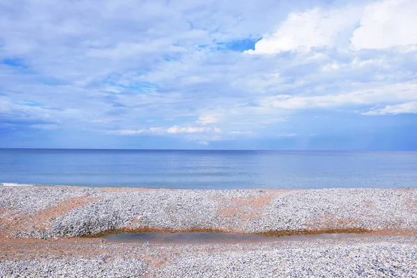 シースケープ ビーチ貝殻海岸風光明媚な風景がカラフルな背景の壁紙ストック フォトで覆われて — ストック写真