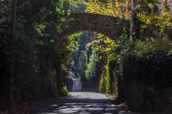 Eine Straße Sintra Inmitten Von Bäumen Und Einer Alten Brücke — Stockfoto