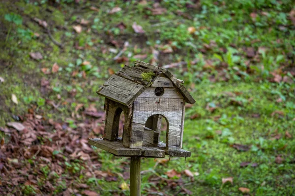 Vogelhaus Holz Einem Park Sintra Portugal — Stockfoto