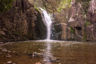 Şelale dağ manzarasının fotoğrafı. Yakın çekim. Dağ nehri şelalesi manzarası.