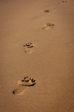 ootprints at Carcavelos beach, Carcavelos, Cascais, Lisbon, Portugal