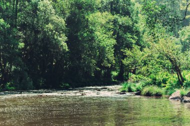 Paiva yürüyüş yolları Arouca, Portekiz Paiva nehrin sol yakasında yer alır