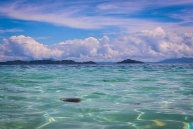Tropikal peyzaj ile rock Adaları, kristal berraklığında su, Palawan, Filipinler