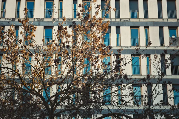 Geometrisches Gebäude Fenster Straße Lissabon Portugal — Stockfoto