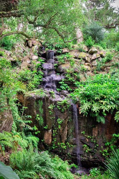 Monserrate Palace Park Beautigul Yeşil Orman Şelale Sintra Portekiz — Stok fotoğraf