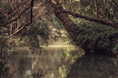 Calouste Gulbenkian Vakfı, bir park ve Müze ortasında Lizbon, Portekiz