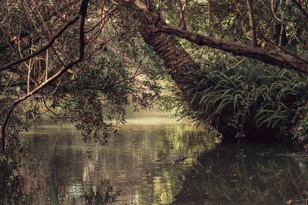 Calouste Gulbenkian Alapítvány Park Múzeum Közepén Lisszabon Portugália — Stock Fotó