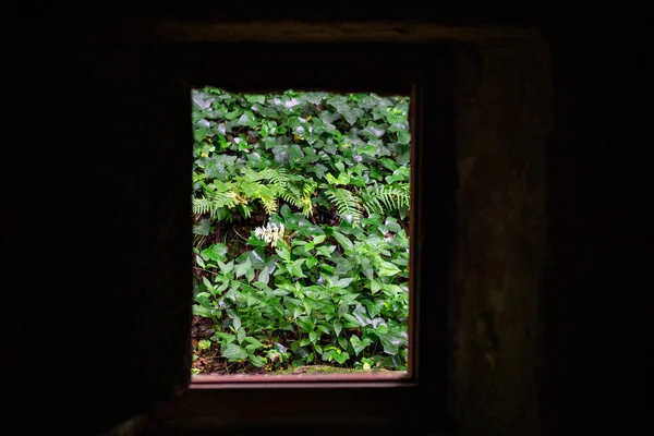 Schöner Bunter Wald Aus Dem Fenster Gesehen Sintra Portugal — Stockfoto