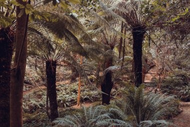 Güzel gerçek fetus, pena park, Sintra, Portekiz