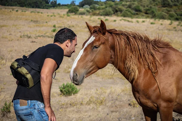 一个人和一匹马的友谊 葡萄牙辛特拉 — 图库照片
