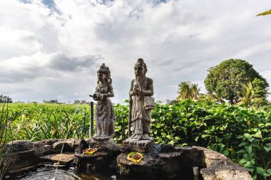 Pirinç terasında Hindu heykeli, Bali, Endonezya