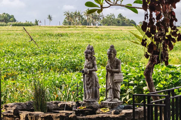 Hindu Statue Auf Einer Reisterrasse Bali Indonesien — Stockfoto