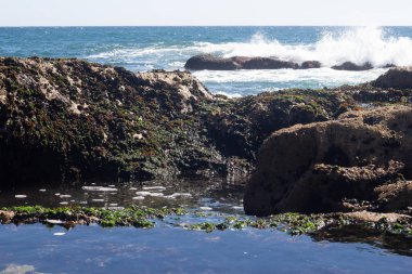 Deniz dalgaları, Cascais plaj, Portekiz