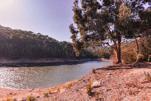 Presa Mula Una Presa Medio Sintra Portugal — Foto de Stock