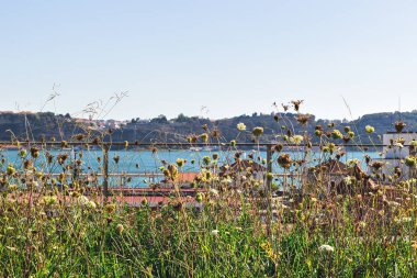 Lizbon, Portekiz 'deki bir çatıdan 25 Nisan köprü manzarası
