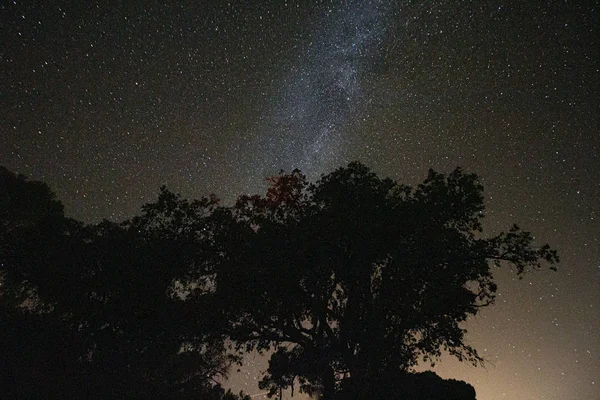 Disparo Nocturno Con Estrellas Sobre Fondo Cielo Nocturno — Foto de Stock