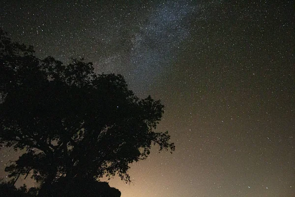 Disparo Nocturno Con Estrellas Sobre Fondo Cielo Nocturno — Foto de Stock