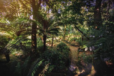 Pena Park 'ın lüks bahçelerinin fotoğrafı, sintra, Portekiz