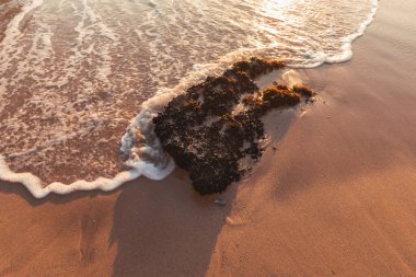 Adraga sahilinde güzel bir gün batımı, Sintra, Lizbon, Portekiz