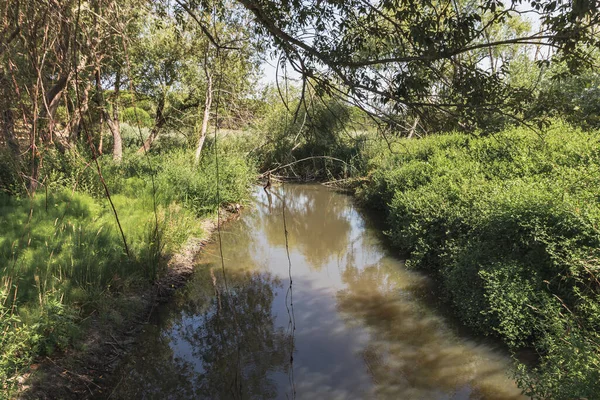 Ormanın ortasında bir göl, setubal, Portekiz