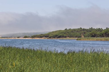 Ormanın ortasında güzel bir göl, setubal, Portekiz