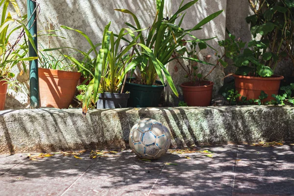 Una Pelota Abandonada Patio Trasero — Foto de Stock