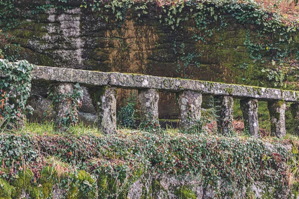 Der Wald Rund Den Schrein Von Senhora Penha Guimaraes Portugal — Stockfoto