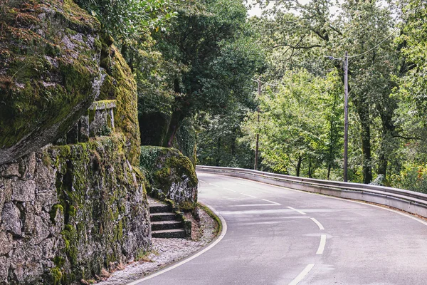 Sinyora da Penha, Guimaraes, Portekiz tapınağının etrafındaki orman.