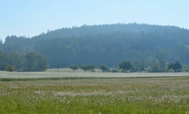 Bahar manzarası, güney Bohemya. Çek Cumhuriyeti