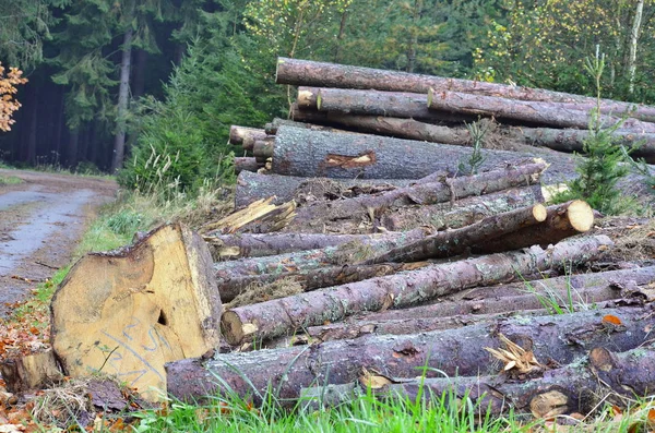 輸送用木材 南ボヘミア チェコ共和国 — ストック写真