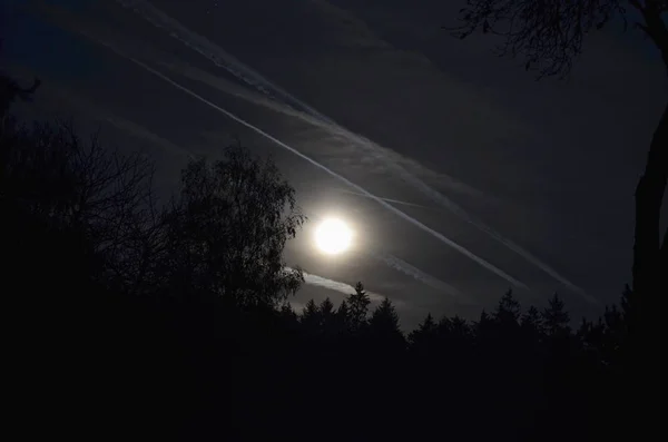 full moon over the forest, South Bohemia, Czech Republic