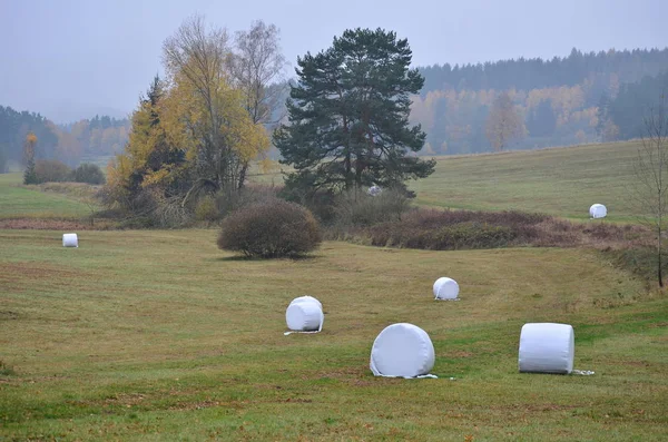 Sonbahar Manzara Southern Bohemia Çek Cumhuriyeti Görüntülemek — Stok fotoğraf