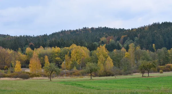Höstlandskap Södra Böhmen Tjeckien — Stockfoto