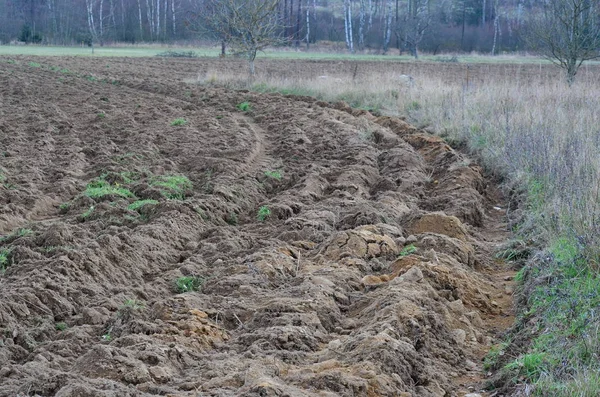 Widok Jesień Faliste Pola Południowe Republika Czeska — Zdjęcie stockowe